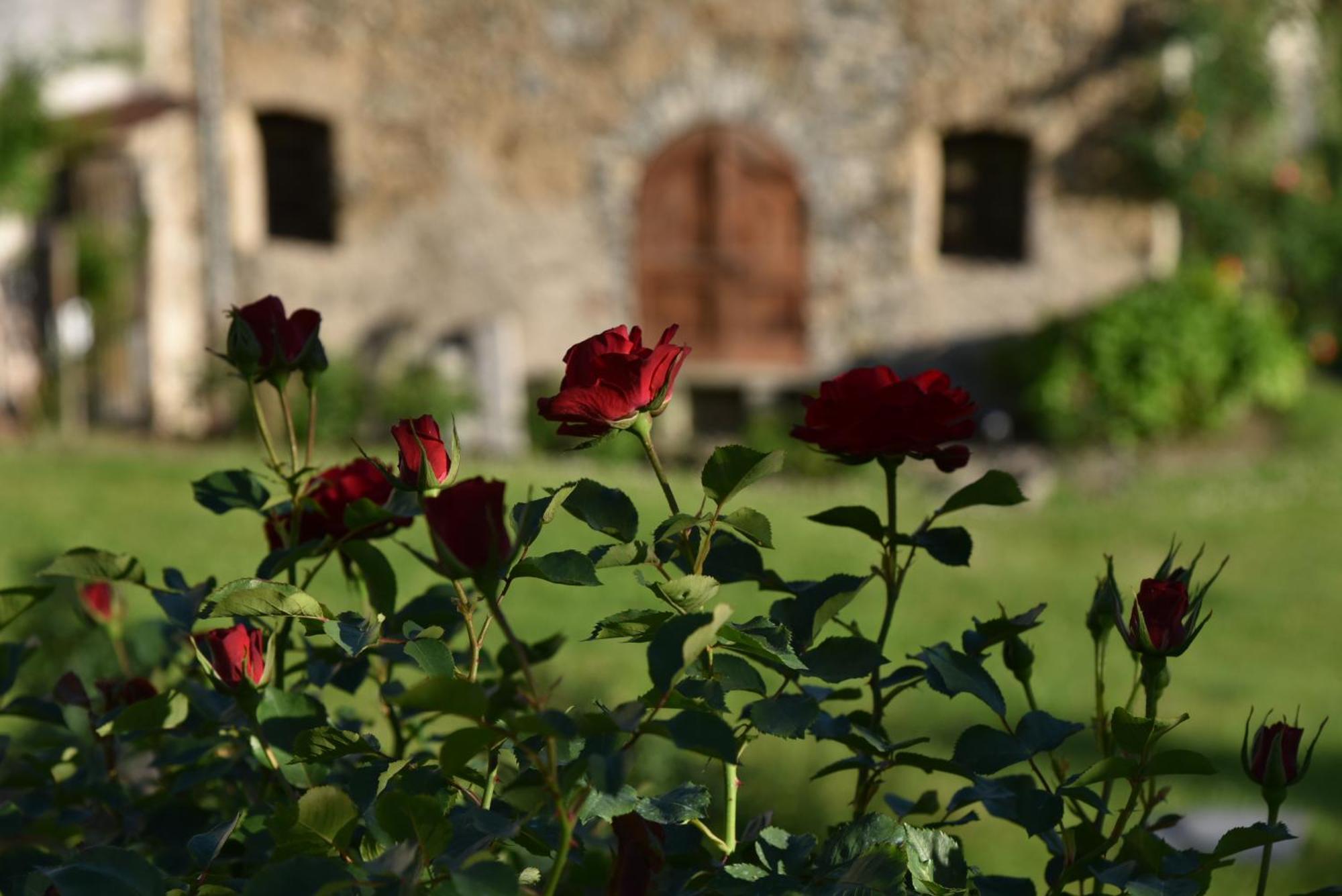 Villa Piano Nobile Al Roseto Del Drago à San Bernardo  Extérieur photo